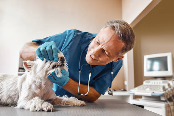 Best Emergency Tooth Extraction in Lipatria, CA